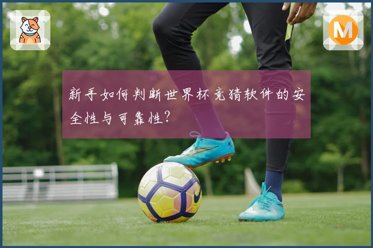 新手如何判断世界杯竞猜软件的安全性与可靠性？