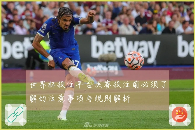 世界杯投注平台决赛投注前必须了解的注意事项与规则解析
