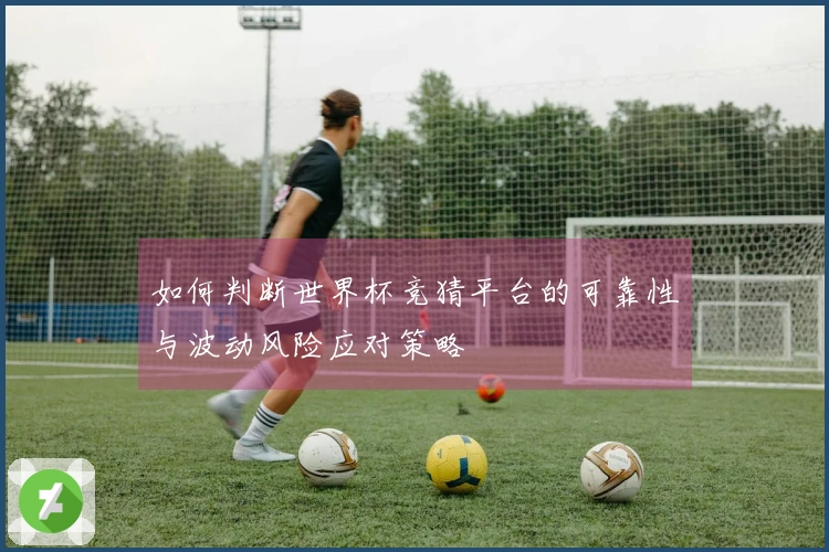 如何判断世界杯竞猜平台的可靠性与波动风险应对策略