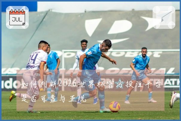 如何判断2026世界杯官方投注平台是否可靠与正规