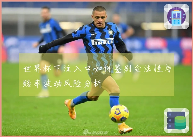 世界杯下注入口如何鉴别合法性与赔率波动风险分析