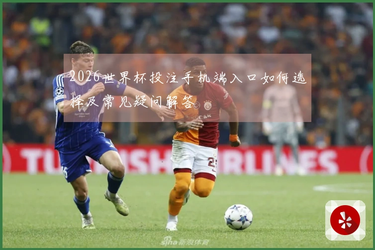 2026世界杯投注手机端入口如何选择及常见疑问解答