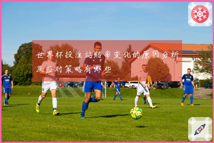 世界杯投注站赔率变化的原因分析及应对策略有哪些