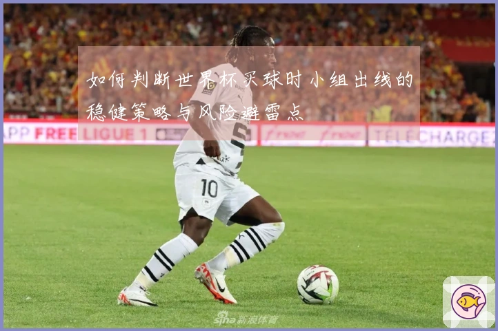 如何判断世界杯买球时小组出线的稳健策略与风险避雷点
