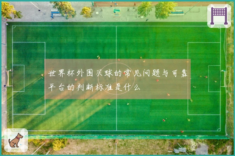世界杯外围买球的常见问题与可靠平台的判断标准是什么