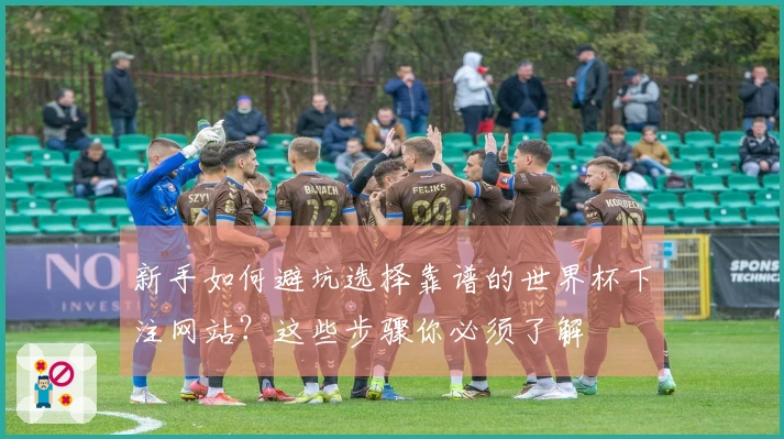 新手如何避坑选择靠谱的世界杯下注网站？这些步骤你必须了解
