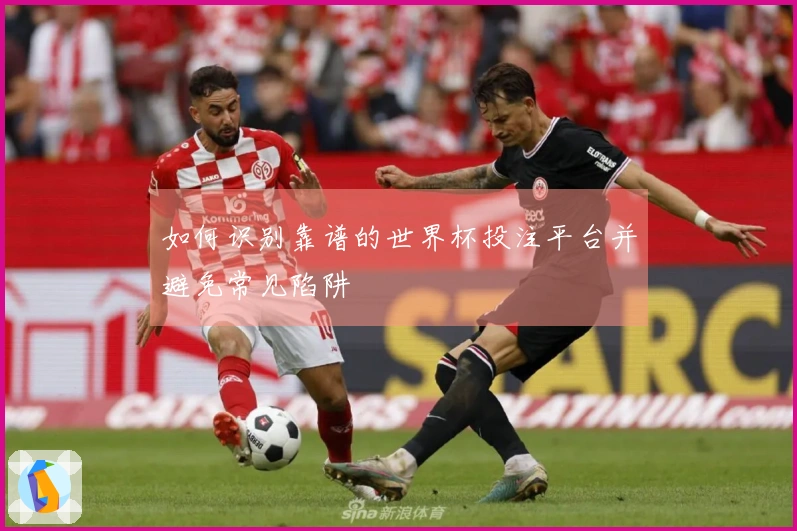 如何识别靠谱的世界杯投注平台并避免常见陷阱