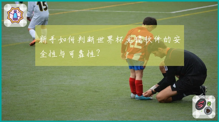 新手如何判断世界杯竞猜软件的安全性与可靠性？
