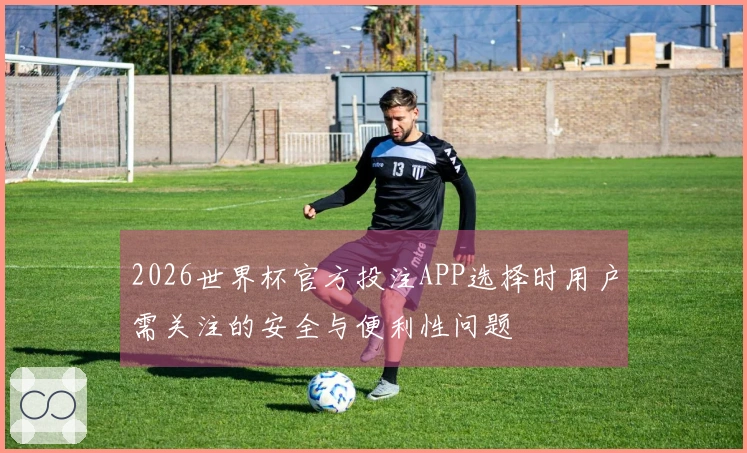 2026世界杯官方投注APP选择时用户需关注的安全与便利性问题