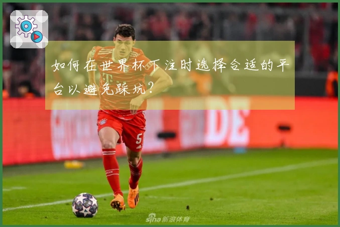 如何在世界杯下注时选择合适的平台以避免踩坑?
