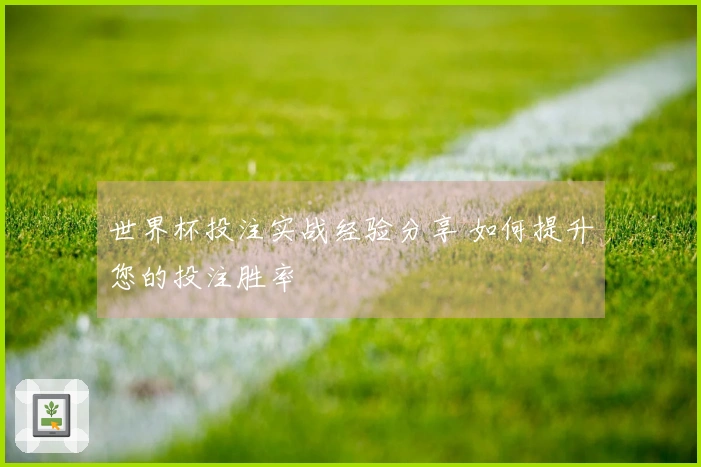 世界杯投注实战经验分享 如何提升您的投注胜率