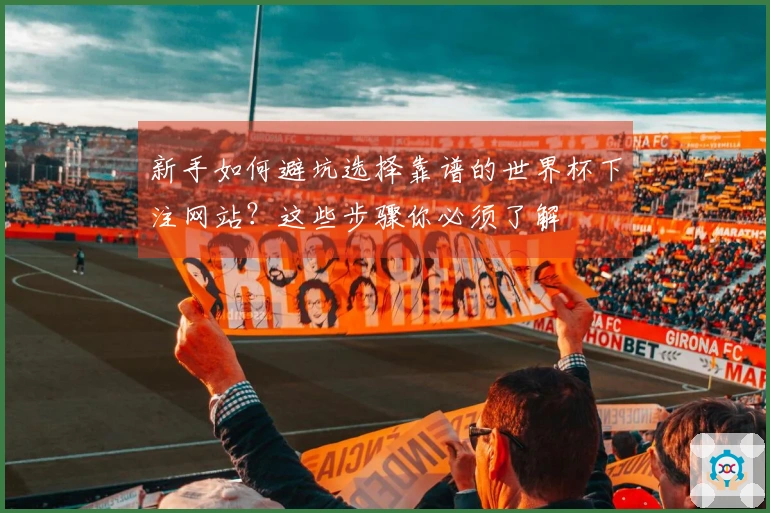 新手如何避坑选择靠谱的世界杯下注网站?这些步骤你必须了解