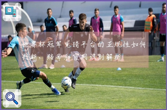 世界杯冠军竞猜平台的正规性如何判断，赔率和官网识别解析
