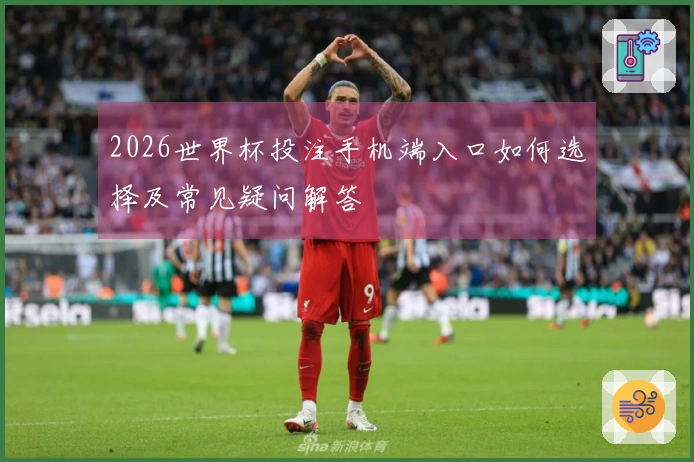 2026世界杯投注手机端入口如何选择及常见疑问解答