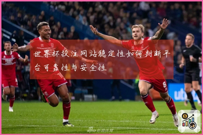 世界杯投注网站稳定性如何判断平台可靠性与安全性