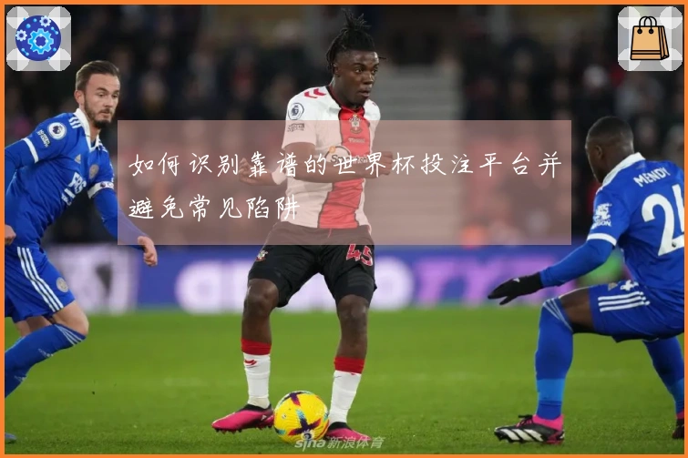 如何识别靠谱的世界杯投注平台并避免常见陷阱