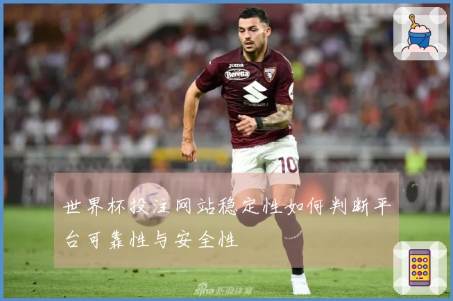 世界杯投注网站稳定性如何判断平台可靠性与安全性