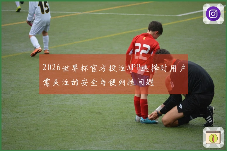 2026世界杯官方投注APP选择时用户需关注的安全与便利性问题
