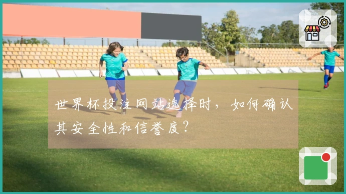 世界杯投注网站选择时，如何确认其安全性和信誉度？