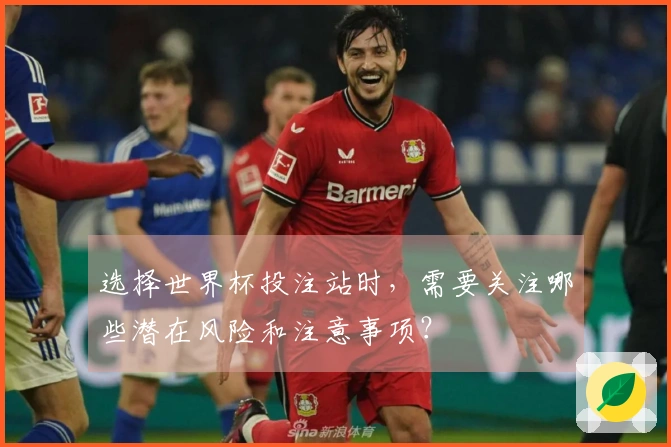 选择世界杯投注站时，需要关注哪些潜在风险和注意事项？
