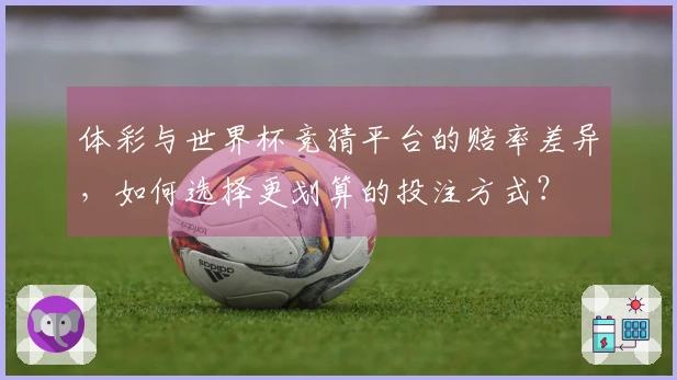 体彩与世界杯竞猜平台的赔率差异，如何选择更划算的投注方式？