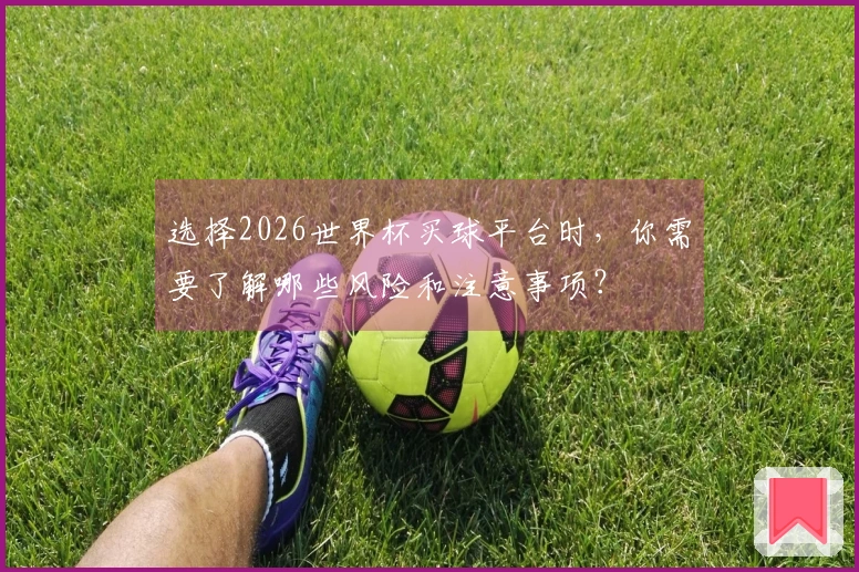 选择2026世界杯买球平台时，你需要了解哪些风险和注意事项？