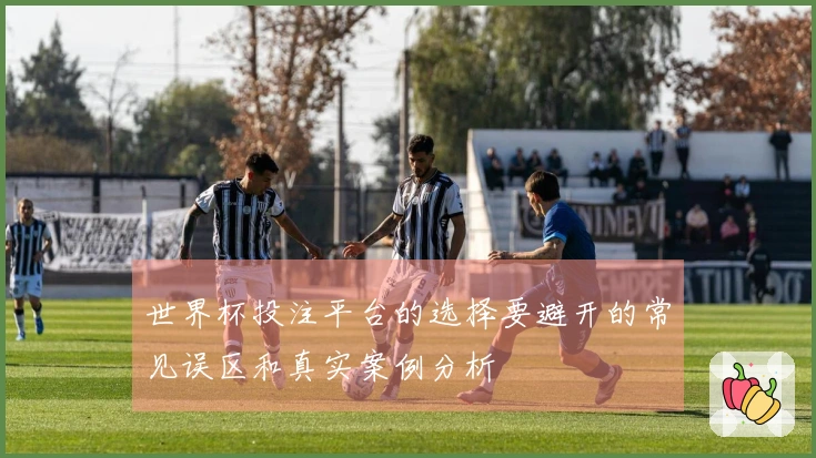 世界杯投注平台的选择要避开的常见误区和真实案例分析