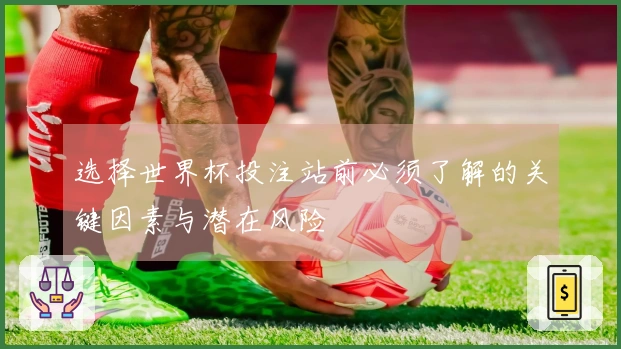 选择世界杯投注站前必须了解的关键因素与潜在风险